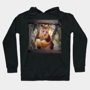 Tree Kangaroo Hoodie